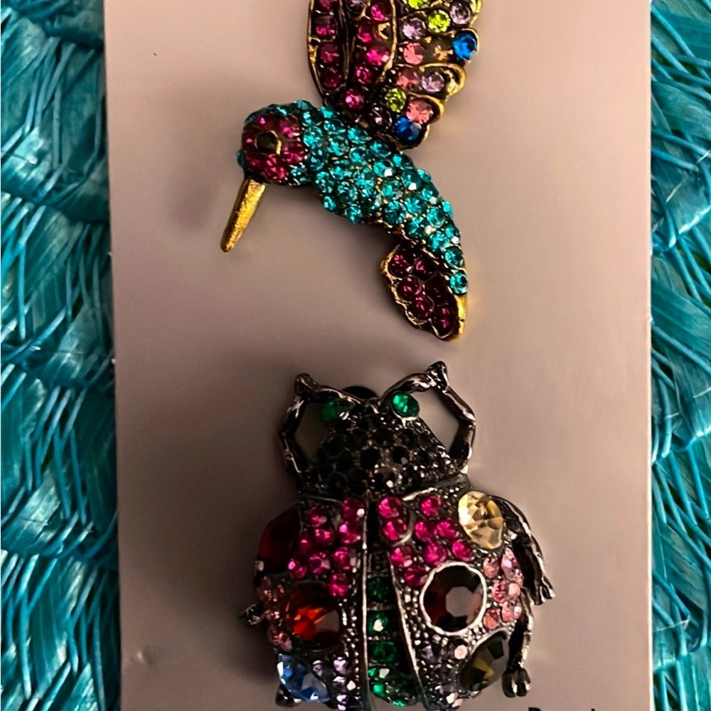 Hummingbird & Ladybug Brooch